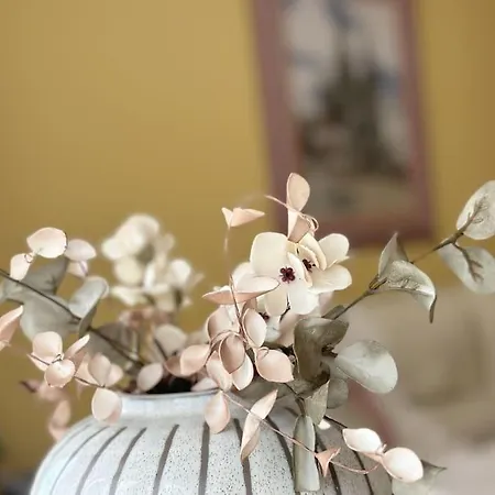 Familiar Céntrico Appartement